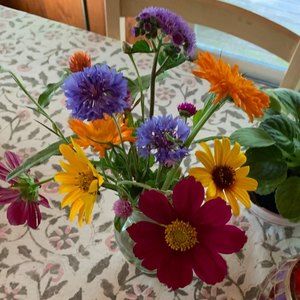 Meet your Posher, Sandy